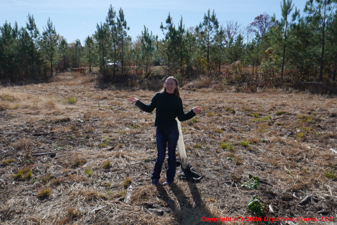 Grove Progress - November 2025